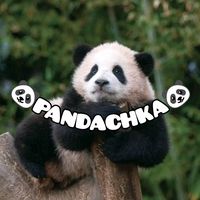 pandachka.100