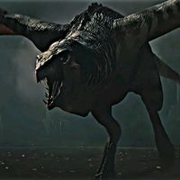 ultmanyx