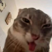 nhạc nền - NT846