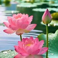 សំឡេងដើម - korng hoeun1🌹