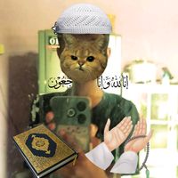tom.salam6