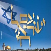 zicooy.arabim