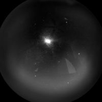 _w240221