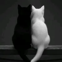 original sound - cenubmuzikk