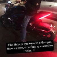 wolf557__