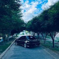 ali_ae101