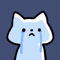 520._.ws