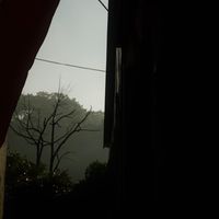 lifepse