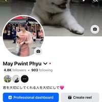 maypwintphyu341