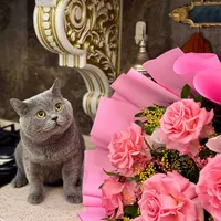 original sound - __duman__200