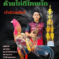 user3304806170950