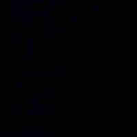 teamnegro123._2