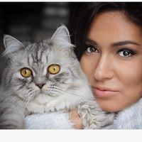 irish_and_cat