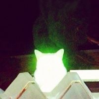 radioactivegirl1