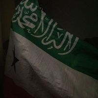 igu sawir saxipadyda