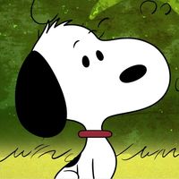 suara asli - !