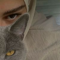 salihee.pm