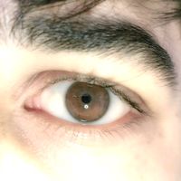 aqeelabbas8044