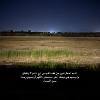adel__909