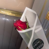elisy555