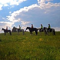 derbyshire_pony_trekking