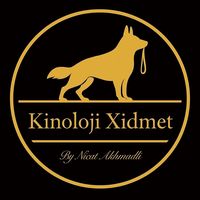 kinoloq_by_nicat