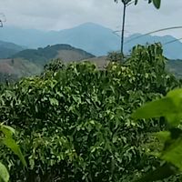 âm thanh cổ vũ anh hùng