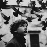 ahmed_riyad.18