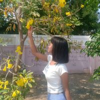 thiri8706
