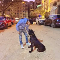 original sound - bodeeee88