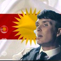 ahmadmirza7930
