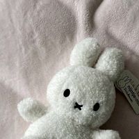 suara asli - 🌷cute🌷