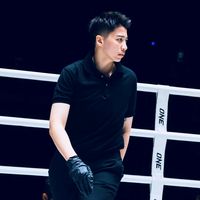 wpboxing94