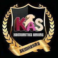 suara asli - Komunitas anjing semarang