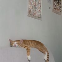 original sound - min