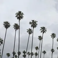 original sound - n_music_am