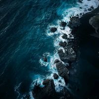 music__1501