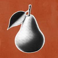 leoandthepears2