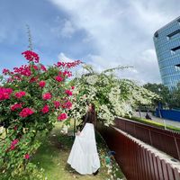 namita__rayamajhi