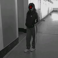 marzo_jaz11