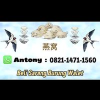 suara asli - song_8888