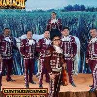 mariachigaladejuarez