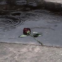 nhạc nền - 18th12_