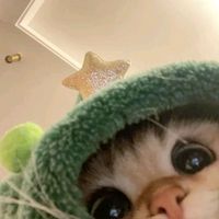 cxitthetnyein23