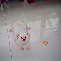 okokokokooo07
