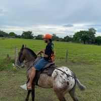 sebastianflorezosorio