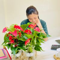 dailyplantsdailyflowers