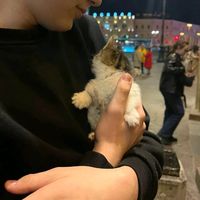 оригинальный звук