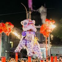 namvuonglion