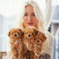 kate_pomeranian